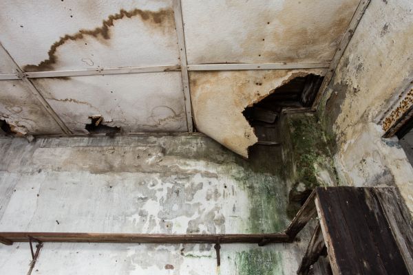 Water Damage Service in Waxahachie