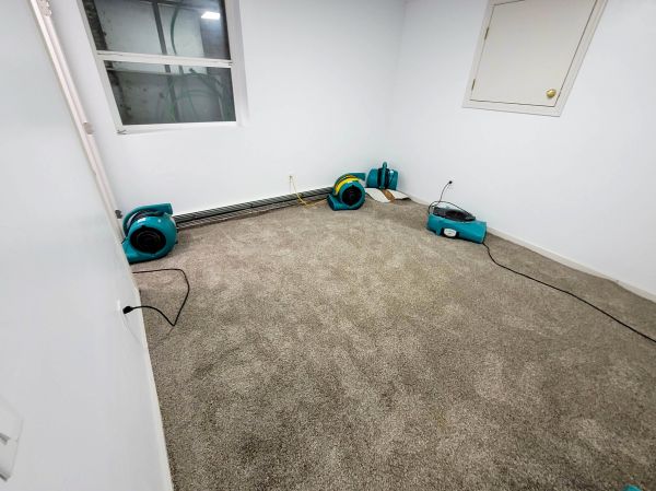 Flood Restoration Service in Waxahachie