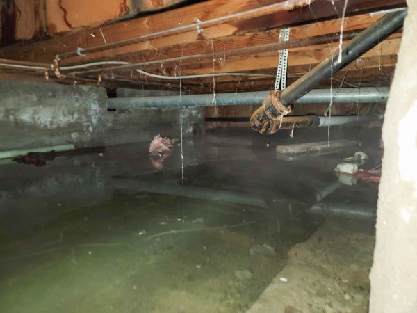 Cost of Crawl Space Drying in Waxahachie